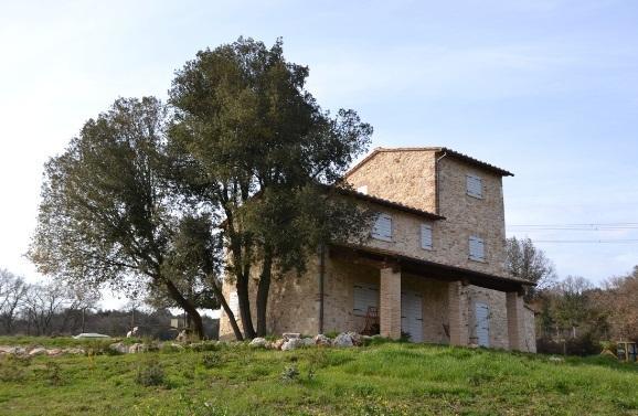 Agriturismo Surripa Амелиа Екстериор снимка